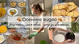 🍂ОСЕННЕЕ ВИДЕО🍂 🥮Простые рецепты  🧽Мою окна🪟Уход за цветами🪴