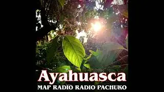 Ayahuasca: Conocimiento y Sanación en Batsu, desde las Montañas de Heredia. (2024) [MAP RADIO]