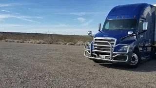 482