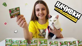 Лиза и кошки Мурка и Карамелька открывают Начивки
