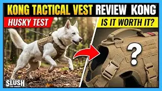 KONG Tactical Vest Dog Harness | Honest Review