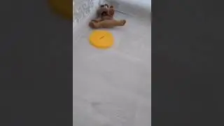 Ой не туда попал👌😁.#shorts