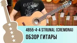 Видео обзор классической гитары 4855-4-4 Strunal (cremona)