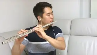 Sia - Chandelier Flute Cover
