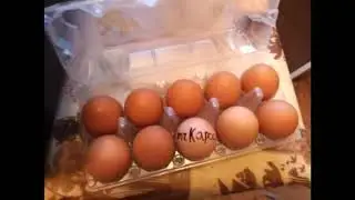 Яичница БЛЯТЬ!