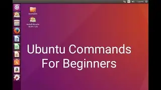 Basic Ubuntu Commands Everyone Should Know