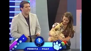 Famosos y Mascotas - Programa 5 | Ecuavisa