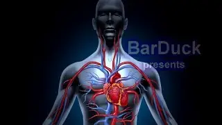 САМЫЕ ИНТЕРЕСНЫЕ ФАКТЫ О КРОВИ