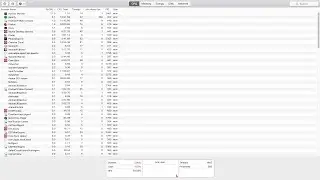 What is Mac OS X's version of Windows task manager and how to open it