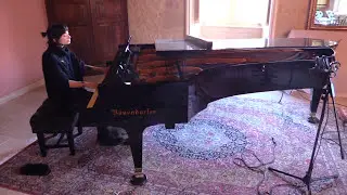Guns N' Roses - Sweet Child O' Mine | Vkgoeswild piano cover on Bösendorfer Imperial