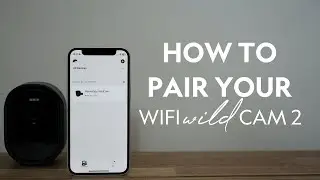 How to Pair Your WiFi WildCam 2