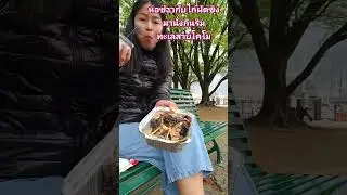 ไก่ผัดขิงริมทะเลสาบโคโม ประเทศอิตาลี