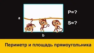 Периметр и площадь прямоугольника