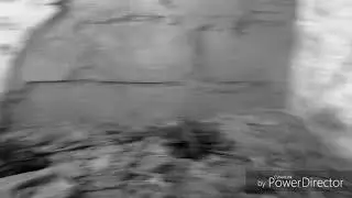 Типо жуткое  видео