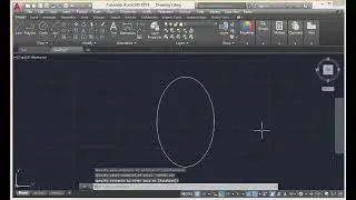 Donut , Ellipse