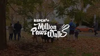Million Paws Walk 2023