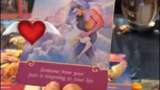 Twin Flames *** February 15 2022 Daily Tarot Reading | Reaping What You Sow