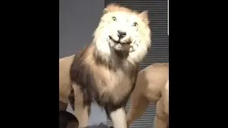 The circle of life