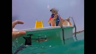 Дахаб, катамаран