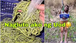 Dahil bawal ang karne,Nagluto nalamang ako ng Uod/TALIM ISLANDER