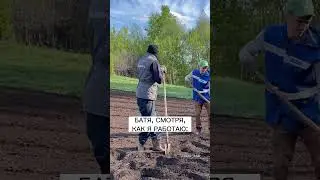 Лайк, если посадил уже картошку 😃 