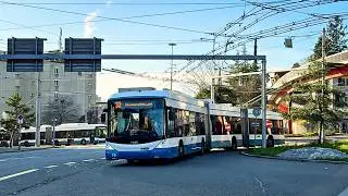 Trolleybuses in Zurich, Switzerland 🇨🇭 | 2024