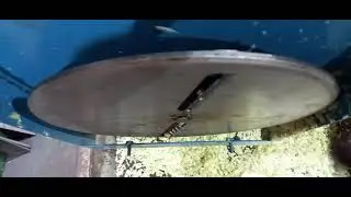 Овощерезка для Романа.