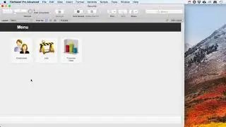 Filemaker Security and User logins