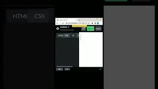 flex the content using css