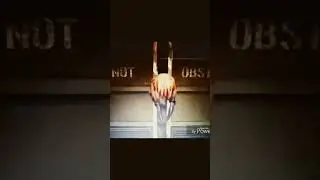 Крот дегрот