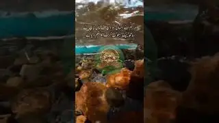 Maa Bap k sath husn e Salook |Surah Ankaboot ayat 08-09| Daily kalam