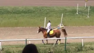 Иподром ч2