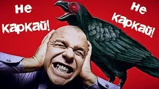 почему нельзя долго слушать крик ворон ?