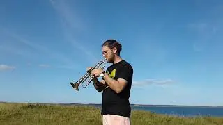 WH brass