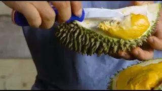 USING DURIAN TO CHARGE ELECTRONICS!?