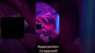 ОСЬМИНОГ. СО ЗВУКОМ! РЕЛАКС ВИДЕО.