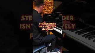 Stevie Wonder - Isn’t she lovely (piano cover). Пианист на свадьбу. Москва