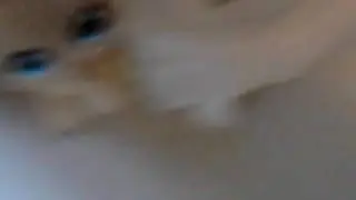 Help