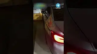 Ахмед показал коцки на M5 #венгалби #литвин #тамаев #shorts