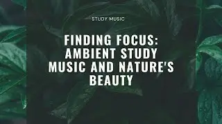 Finding Focus: Ambient Study Music and Nature's Beauty