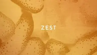 [FREE] Alternative Dance Beat "Zest" || Funky Robotaki x Louis Futon Type Beat