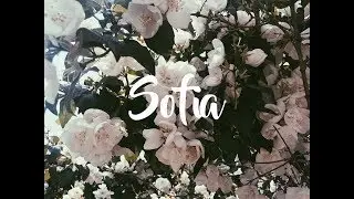 Sofia Vlog