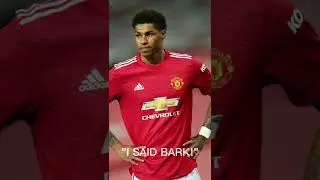 Dogs simping for Marcus Rashford😎