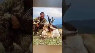 The Undisputed G.O.A.T