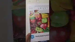 Tes Print HP Color LaserJet M452dw