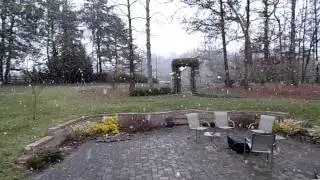 March Snow