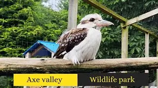 Axe valley wildlife park