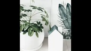 Копилка домик, для купюр и монет💰