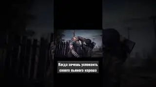 КОГДА ХОЧЕШЬ УСПОКОИТЬ СВОЕГО ПЬЯНОГО КОРЕША [35MM] 