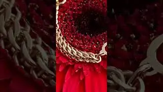 Beautiful gold jewellery #goldringdesignsforwomen #diomedes